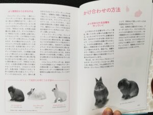 ウサギの掛け合わせについて詳しく説明されていました。