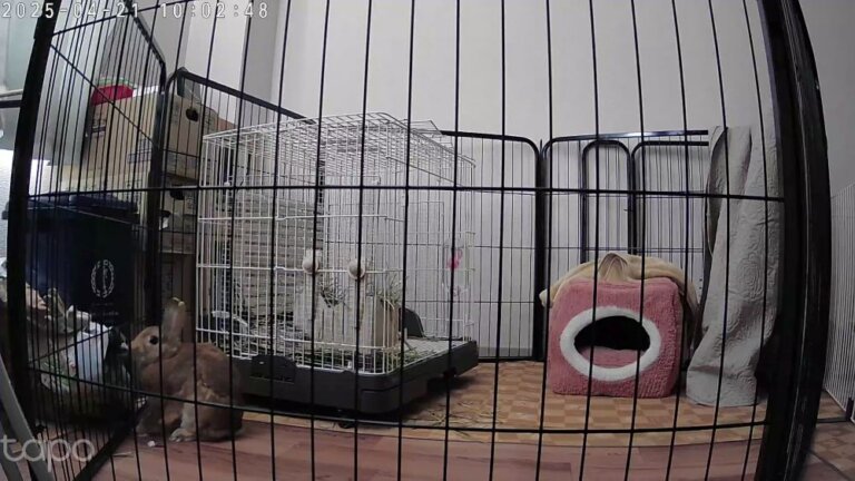 1745197371215_1-768×432