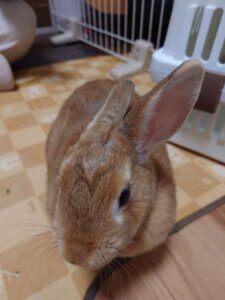 20250116_224445-225×300