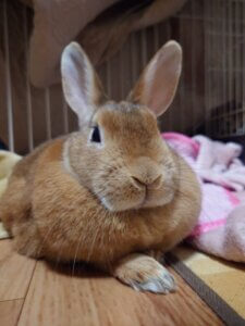 20250207_205256-225×300