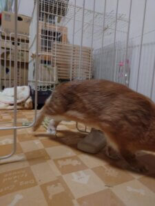 20250408_190857-225×300