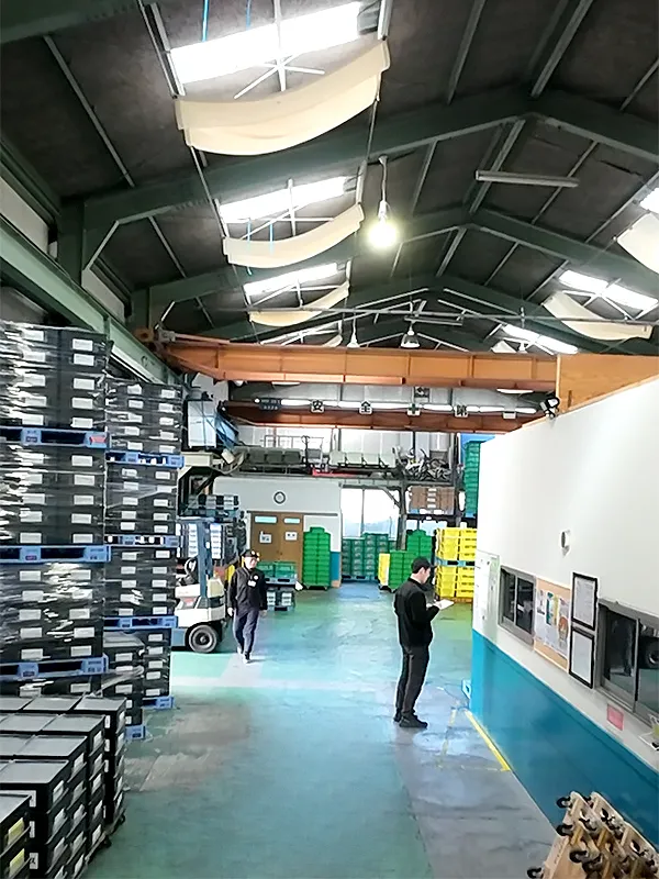 ストラテック本社の画像